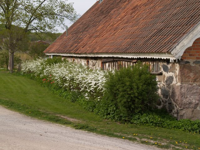 gard14.jpg